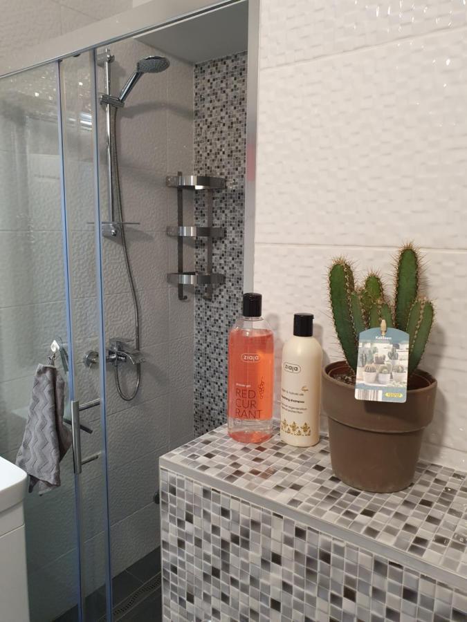 Apartment Marlena Mokošica Eksteriør bilde